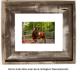 horse trail rides near me in Arlington, Massachusetts